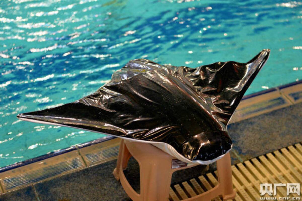 Desarrollan robot blando en forma de mantarraya
