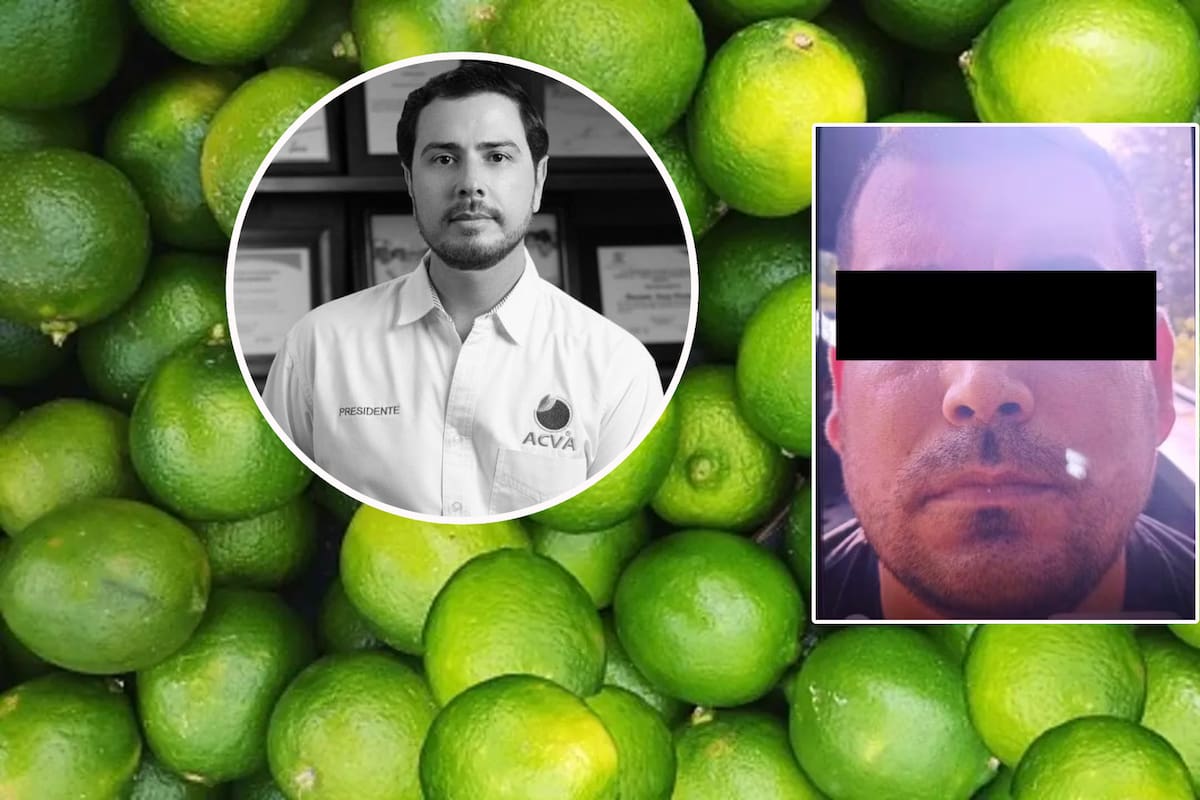 Arrestan a ‘El Pantano’ por asesinato del líder limonero Bernardo Bravo y le encuentran credenciales, incluida una de la Asociación de Citricultores; lo señalan como jefe de cobro de cuotas y extorsiones en Apatzingán