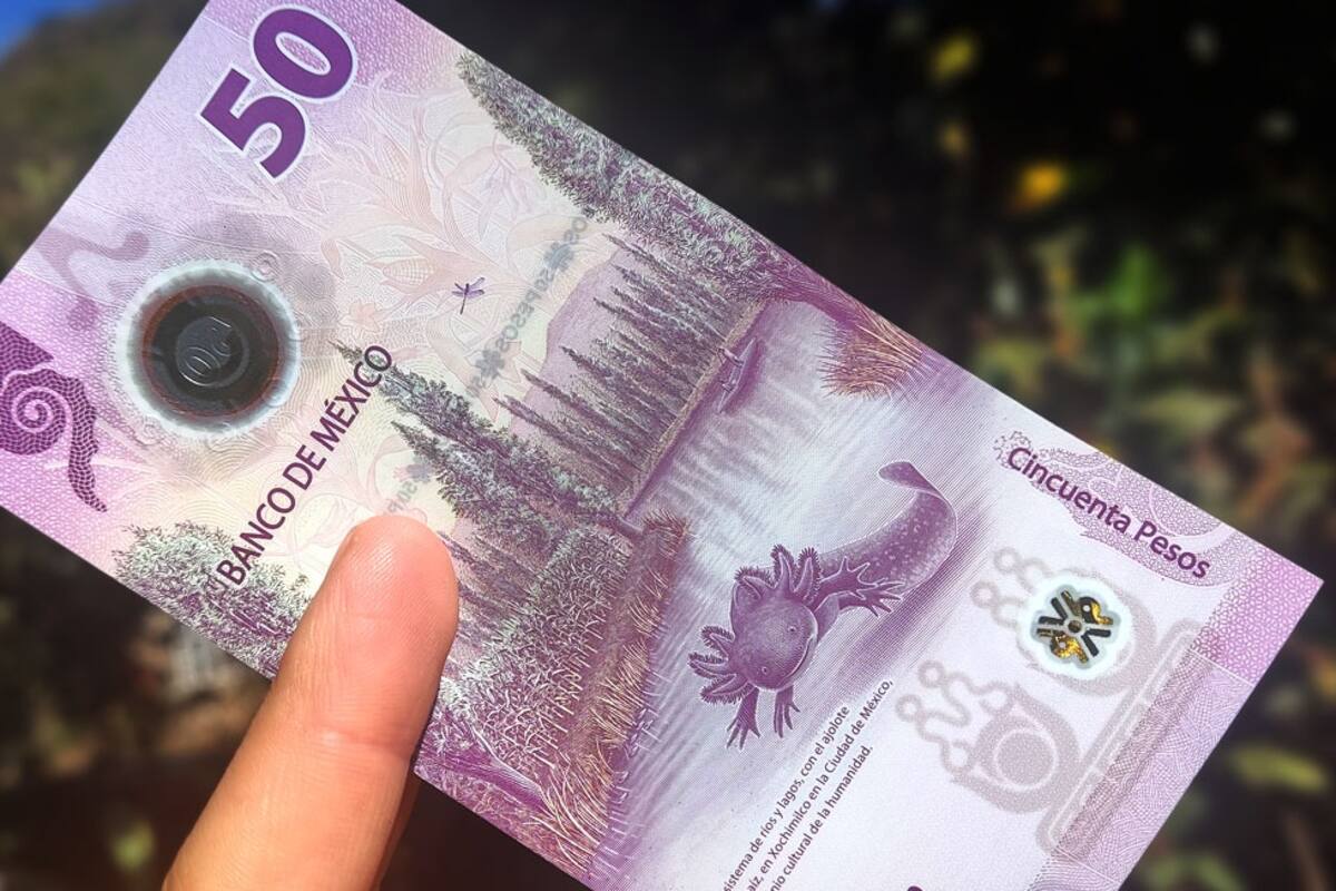 VIDEO: Joven sorprende al no gastar nada durante su cita con su novio