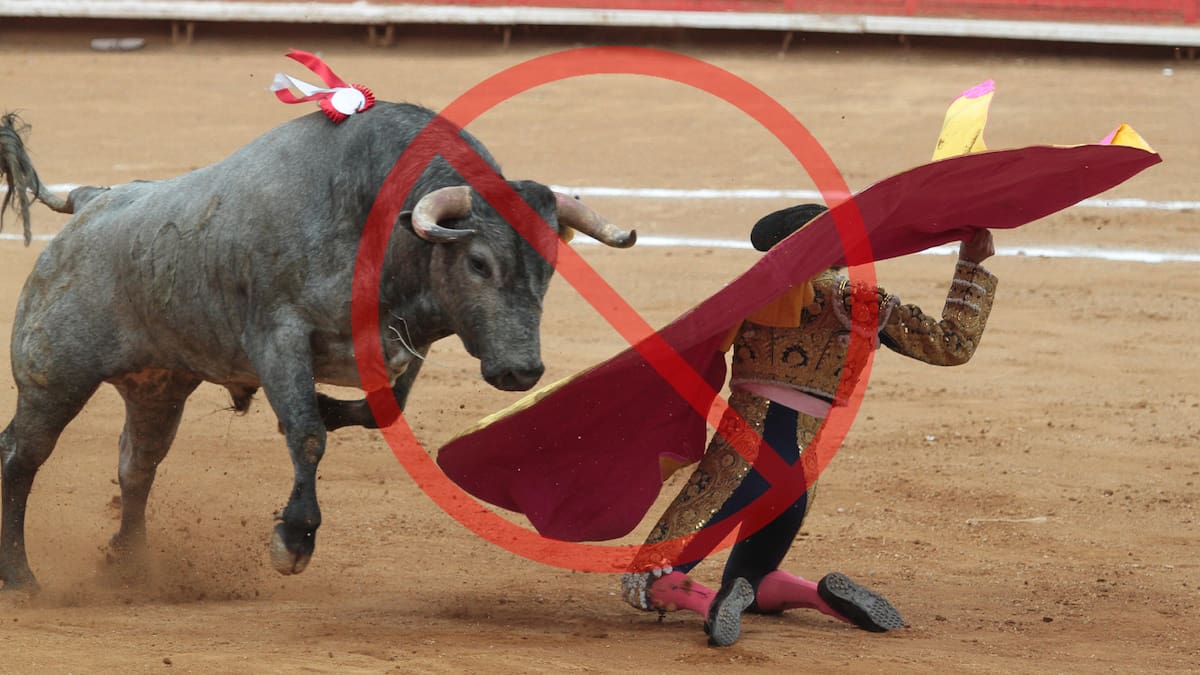 Corridas de toro sin sangre, conoce cómo cambiará la tauromaquía en la Ciudad de México con la reforma contra el maltrato animal. | Especial
