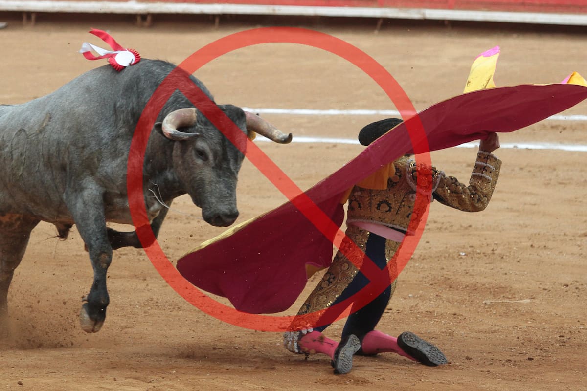 ¡Corridas de toro sin sangre! Conoce cómo cambiará la tauromaquía en la Ciudad de México para combatir el maltrato animal y cuál será el castigo de no cumplirlo