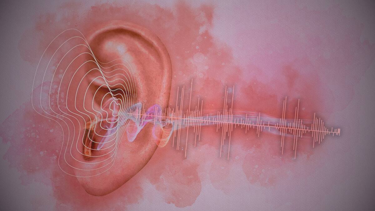 El tinnitus es un timbre o zumbido en los oídos sin fuente externa, que para muchos puede afectar su capacidad para dormir o concentrarse: Síntomas, posibles causas y tratamientos