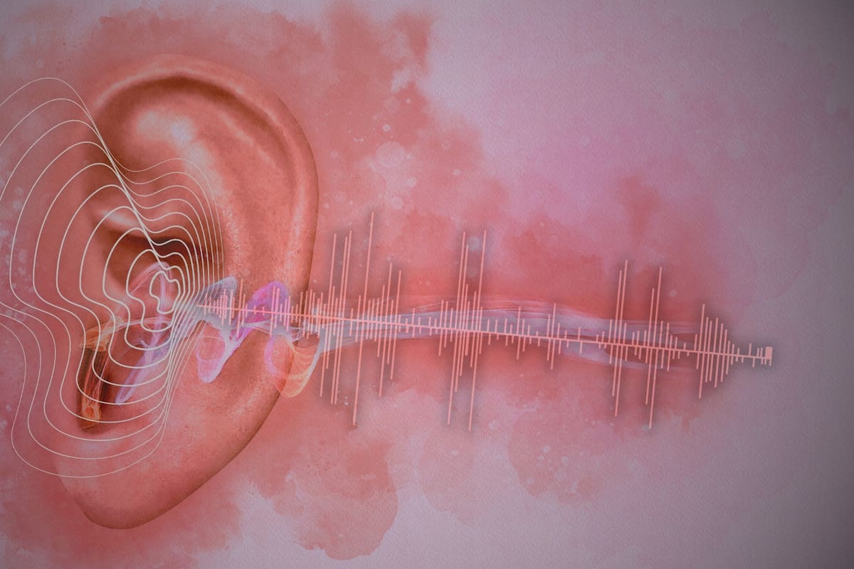 El tinnitus es un timbre o zumbido en los oídos sin fuente externa, que para muchos puede afectar su capacidad para dormir o concentrarse: Síntomas, posibles causas y tratamientos