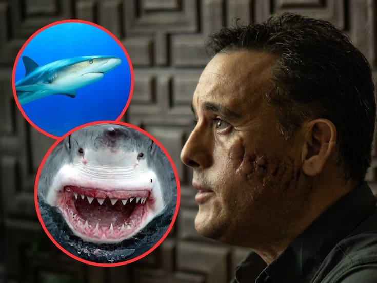 El científico mexicano que sobrevivió al ataque de un tiburón y volverá al mar: “Me perdonó la vida”