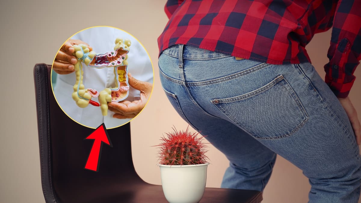 ¿Cuál es la verdadera función del ano? Científicos creen haber descubierto el origen de este pequeño, pero esencial, orificio y no es precisamente para el desecho