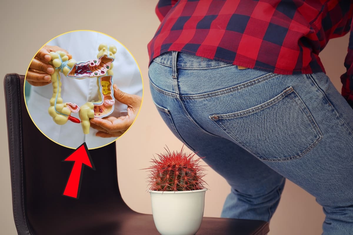 ¿Cuál es la verdadera función del ano? Científicos creen haber descubierto el origen de este pequeño, pero esencial, orificio y no es precisamente para el desecho