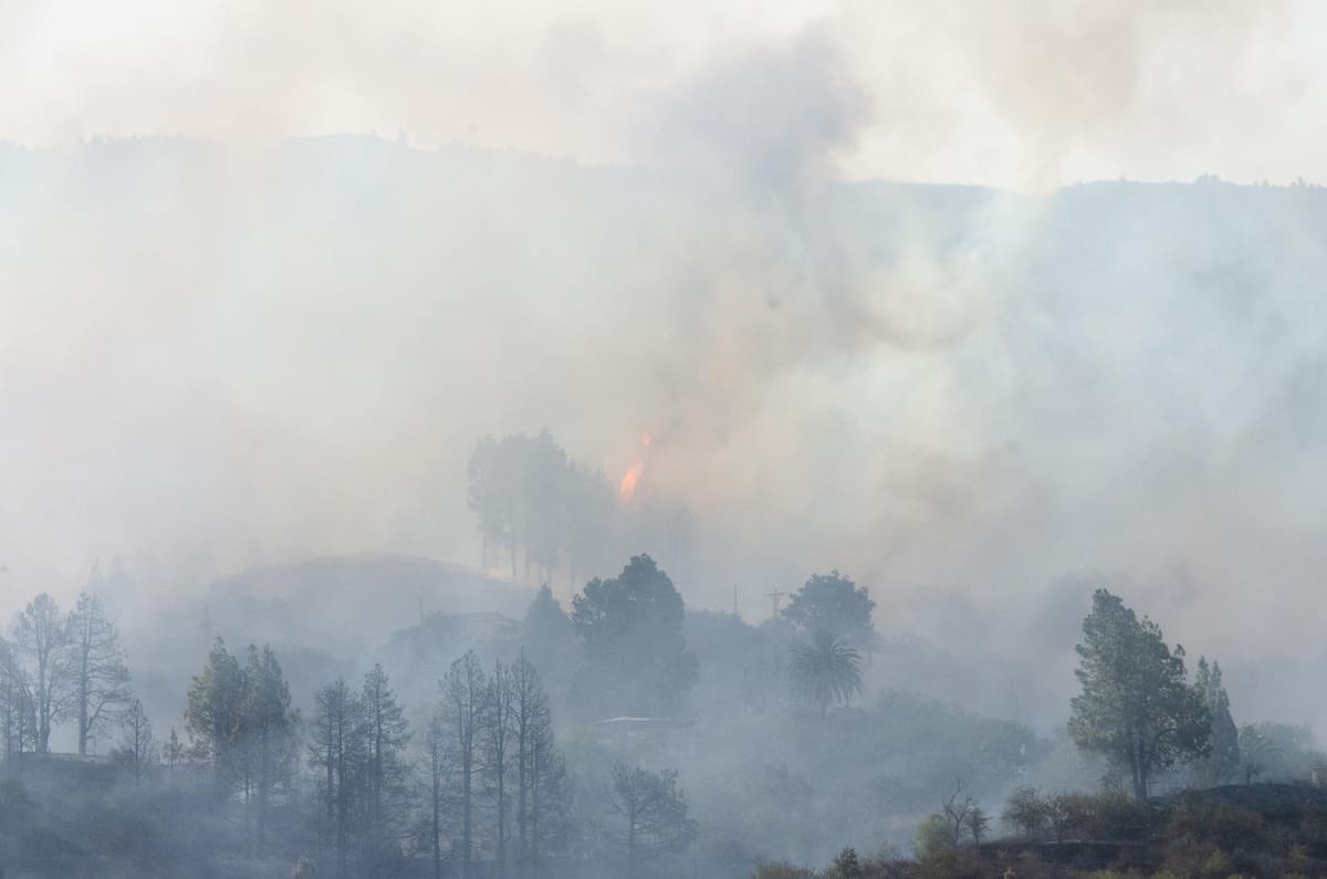 Un incendio forestal se ha declarado esta madrugada en el municipio de Puntagorda, en la isla de La Palma, ha afectado a varias viviendas y ha llevado a la evacuación de 32 vecinos de las proximidades, EFE/Miguel Calero