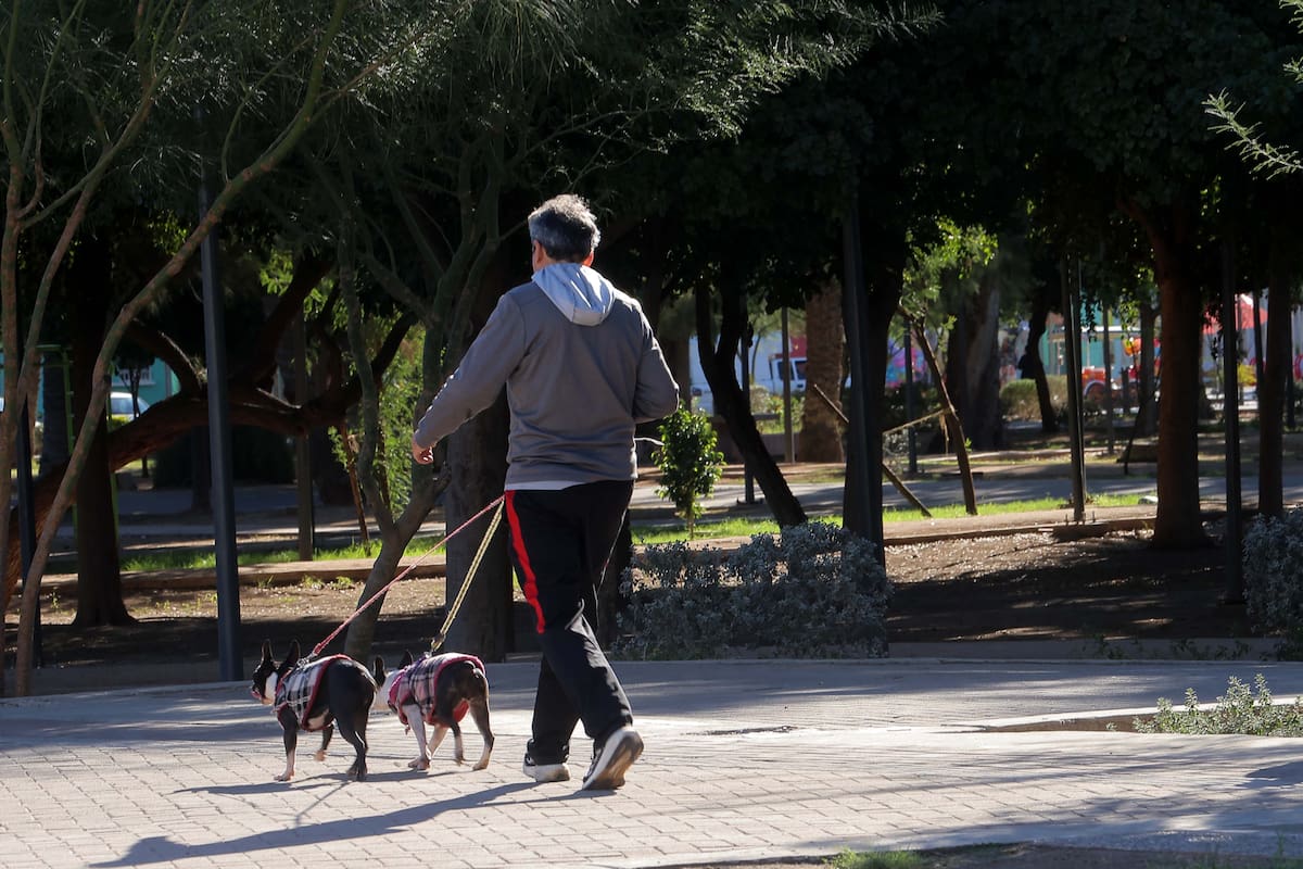 Aprueba el Cabildo de Hermosillo propuesta de alcalde sobre espacios públicos municipales