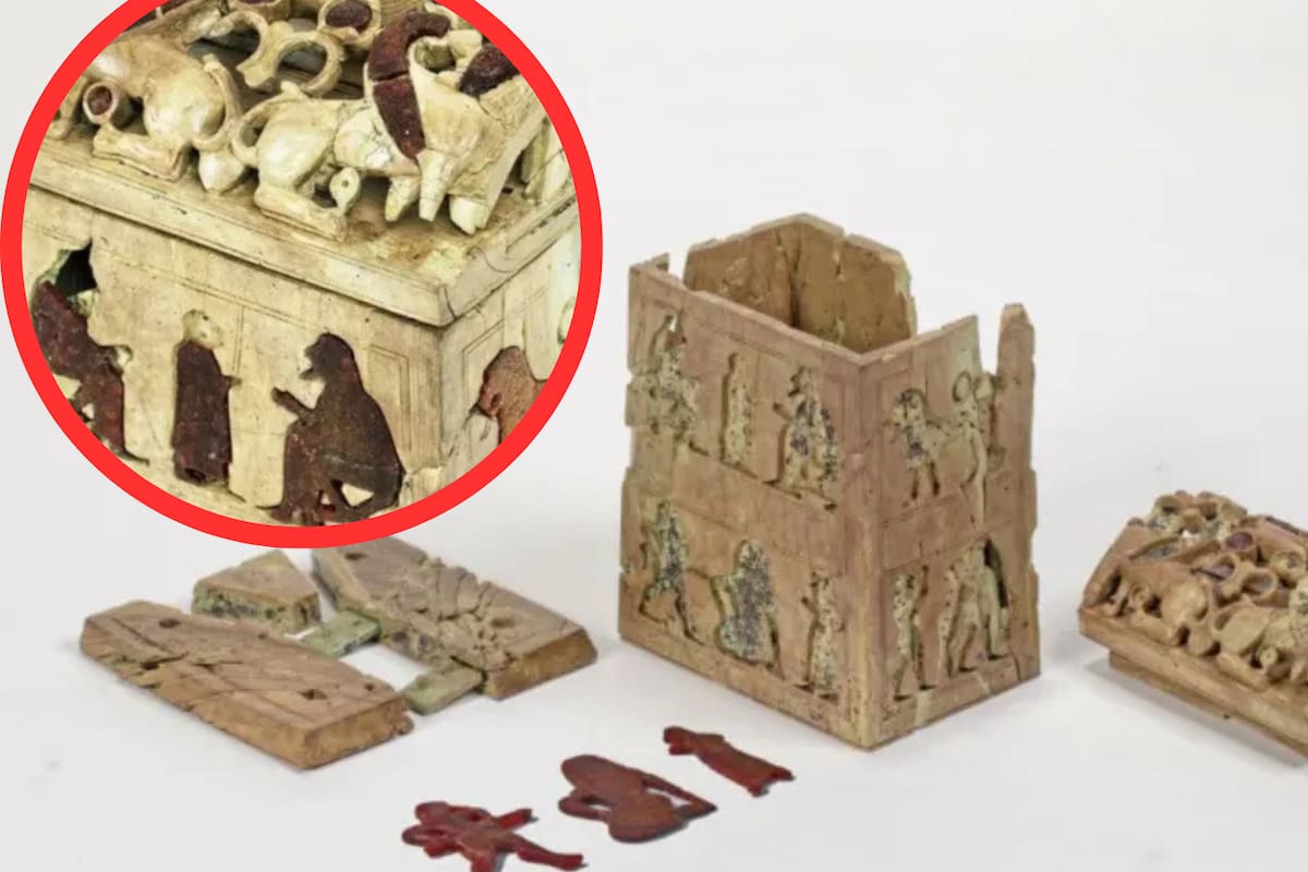 El cofre de ámbar y marfil de Belmonte Piceno se exhibe por primera vez al público tras más de 2,600 años