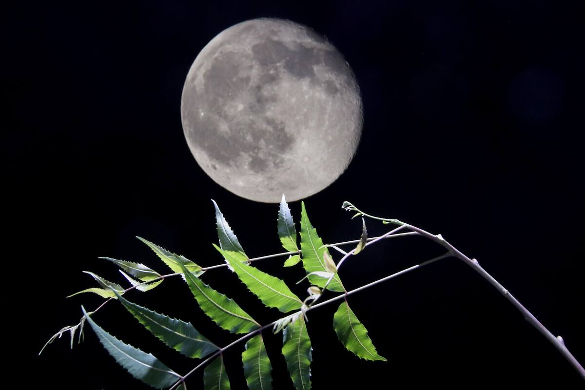 ¿Qué día de agosto se podrá ver la Superluna llena de Esturión?