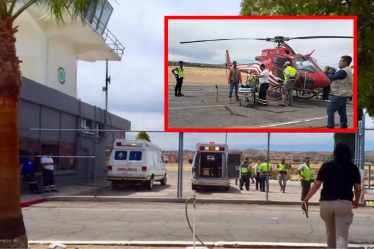 Trasladan en helicóptero a tres trabajadores picados por abejas en Arizpe, Sonora