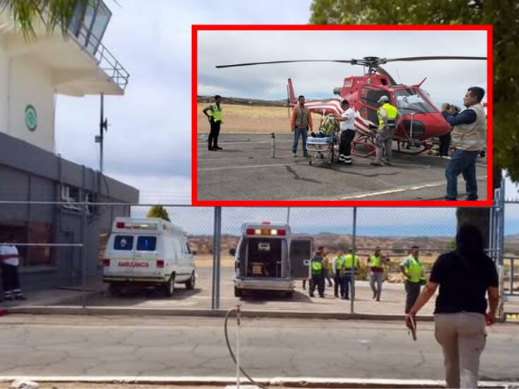 Trasladan en helicóptero a tres trabajadores picados por abejas en Arizpe, Sonora