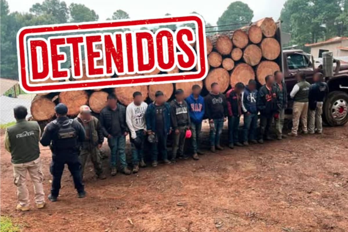Profepa detiene a 10 personas en operativo dentro de la Reserva Mariposa Monarca