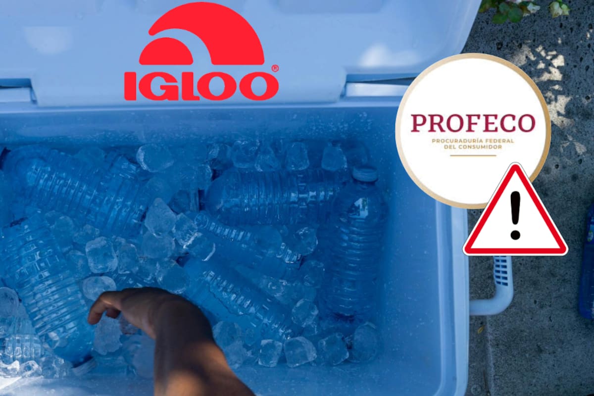 ¡Alerta de seguridad! Profeco e Igloo advierten sobre riesgo en estas hieleras porque te podrían cortar dedos
