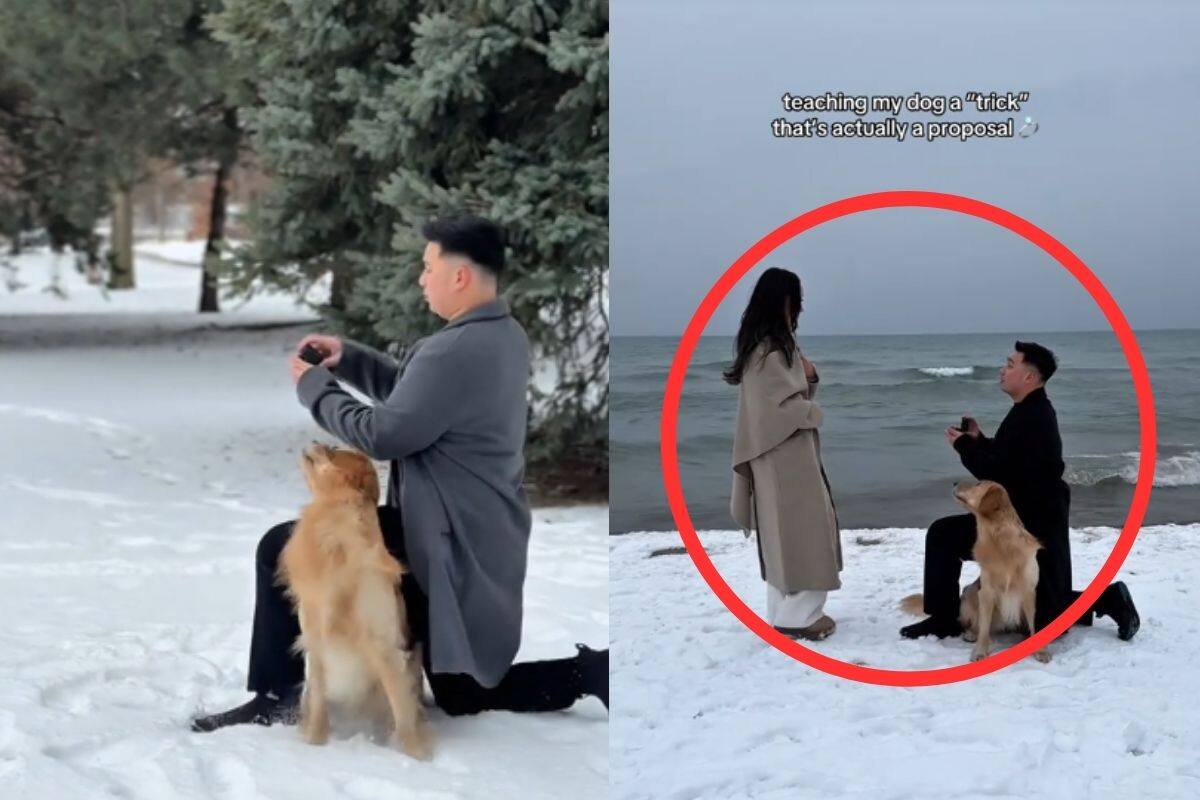 “Estoy llorando”: Hombre entrena a su perro para una propuesta de matrimonio épica en la nieve