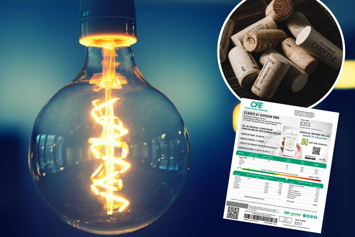 El truco para ahorrar luz que reveló Harvard