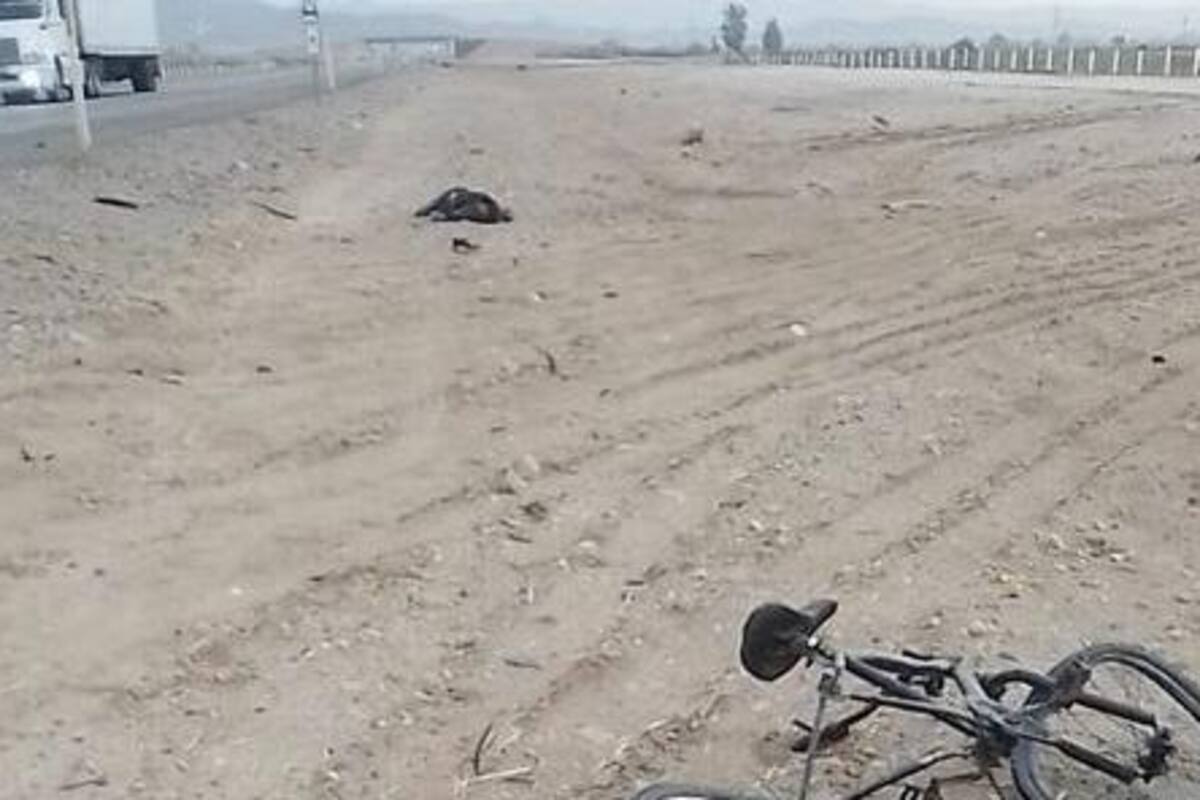 Arrollan y matan en carretera a ciclista