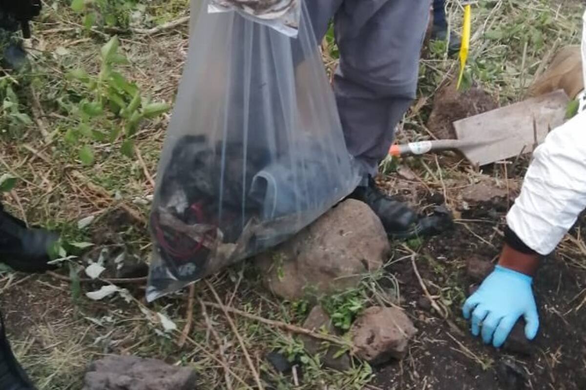 Hallan cien cuerpos en 8 fosas clandestinas en Guanajuato; sospechan que hay más