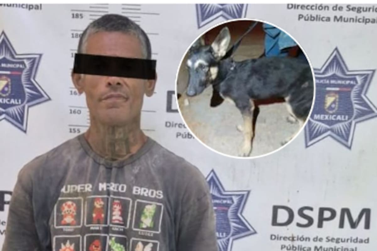 Detienen a hombre acusado de arrastrar y colgar de un árbol a un perro