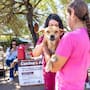 ¿Tu perro o gato ya tiene vacuna antirrábica? Habrá jornada gratuita en Baja California