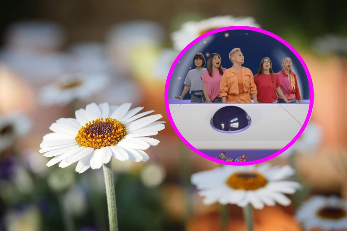 4 canciones para el festival de primavera