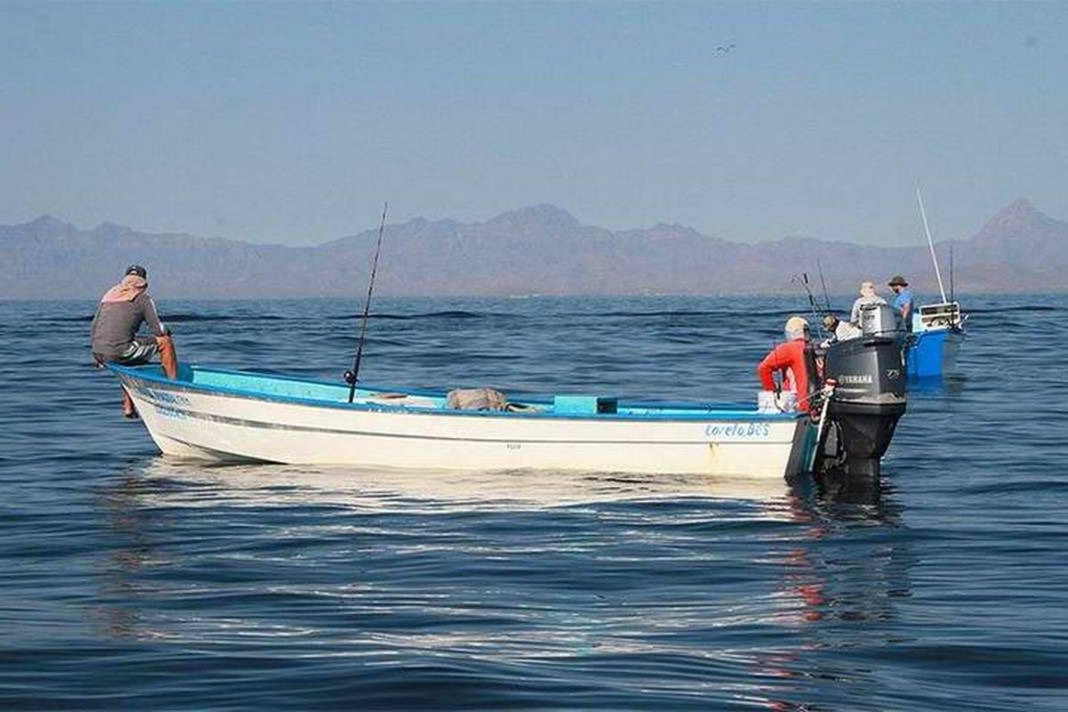 Ahuyentan tiburones a pescadores de la Bahía del Tobari