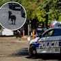 Muere mujer tras ser atacada por una jauría de perros en la colonia Nacozari