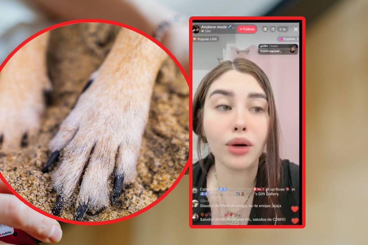 “Era mentira” ex funcionaria de Guadalajara, se disculpa tras confesar un sacrificio de un perro para un ritual de alejar enemigos