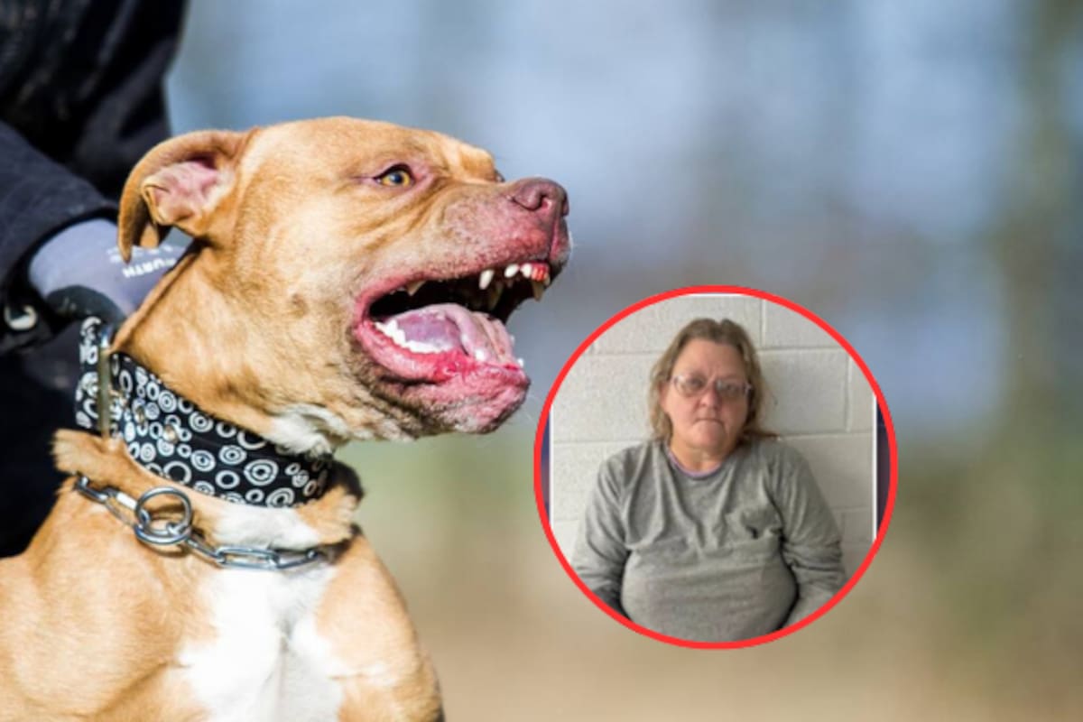 Mujer es detenida después de que sus 17 perros pitbull atacaran a su vecino de 73 años y le causaran la muerte en Carolina del Norte
