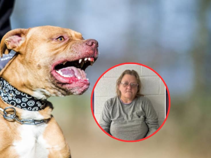 Mujer es detenida después de que sus 17 perros pitbull atacaran a su vecino de 73 años y le causaran la muerte en Carolina del Norte