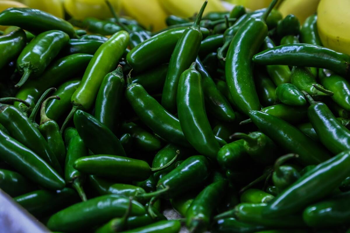 ¿Por qué comer chiles picantes puede ser bueno para tu salud?