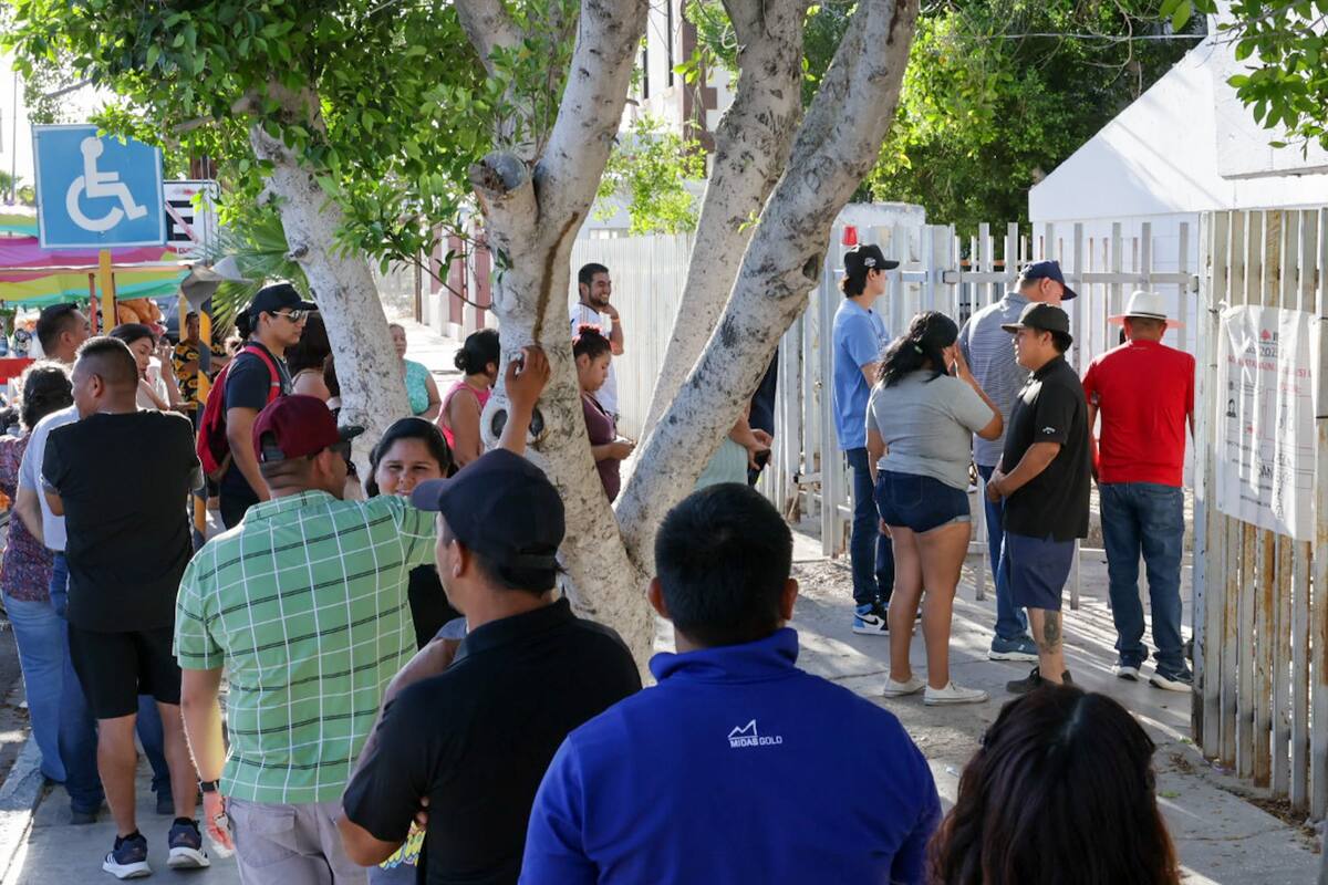 Elecciones en SF transcurren sin incidencias