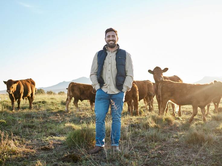 Ganado sonorense cerca de volver a exportarse a los Estados Unidos, ¿Qué había pasado?