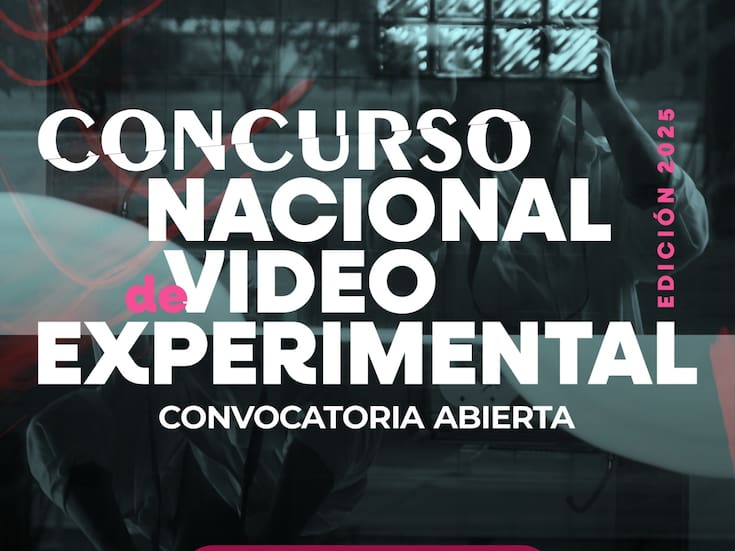 “El videoarte merece su espacio dentro del arte contemporáneo”, director de museos y galerías de BC