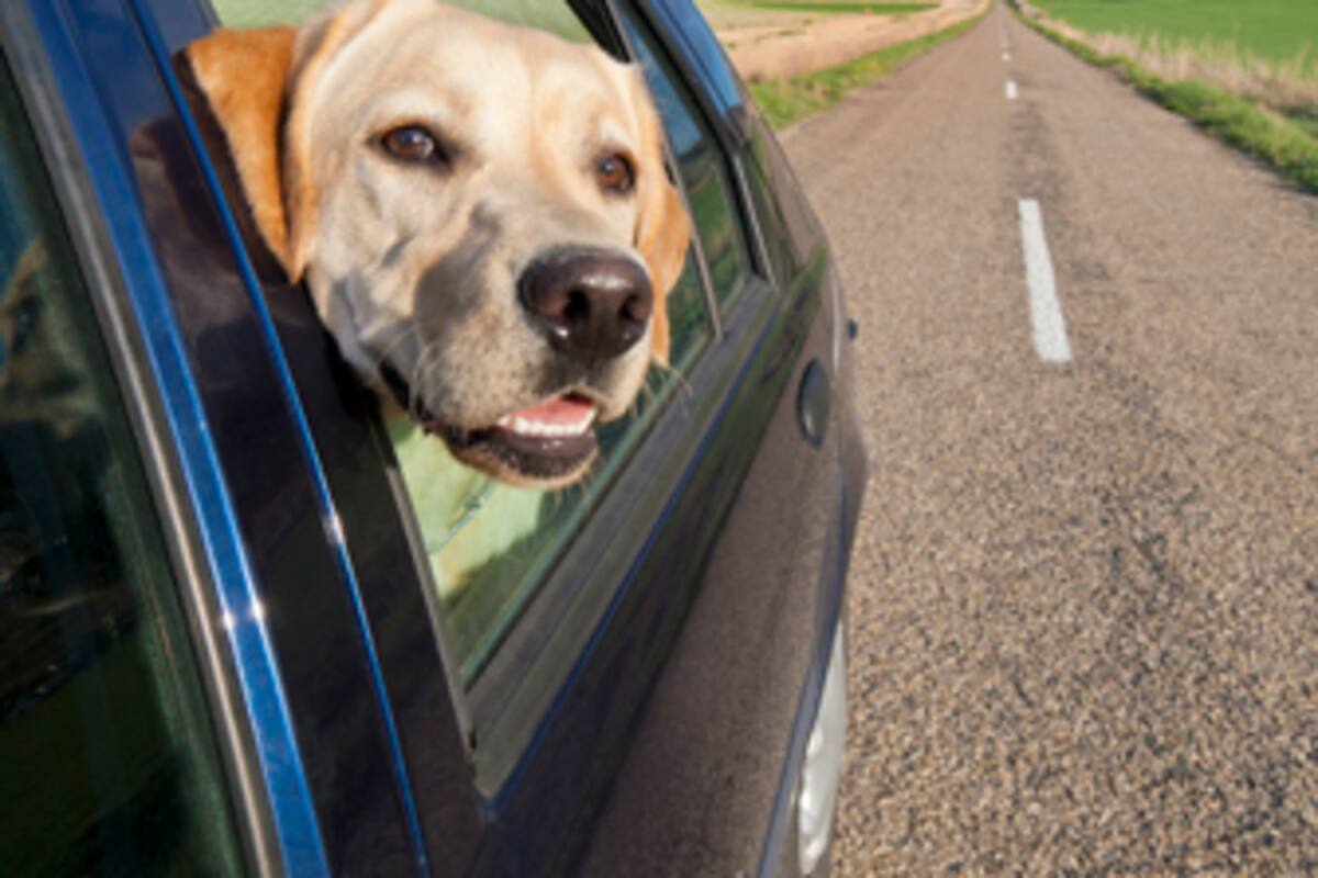 ¿Conducir con las ventanillas bajadas o usar el aire acondicionado? ¿Qué consume más gasolina?