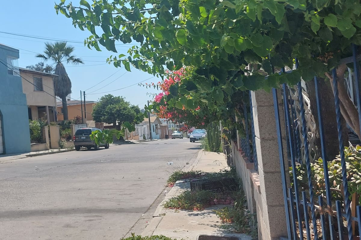 Encuentran vehículo con manchas de sangre en la colonia Jardines del Rubí