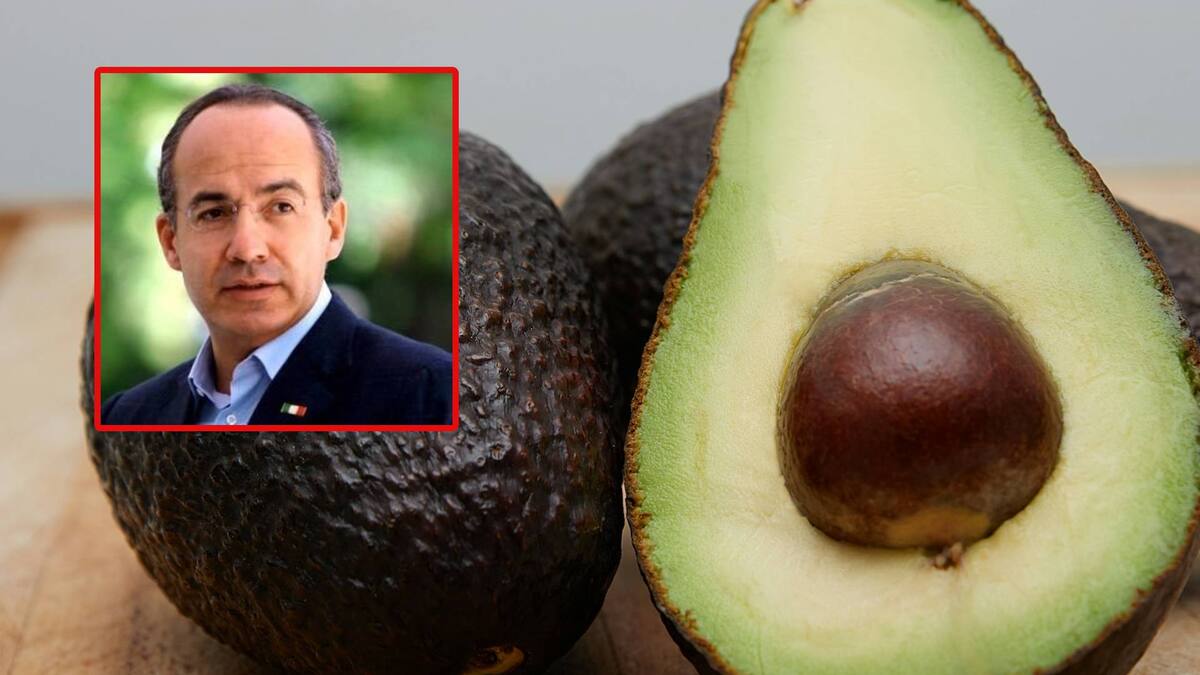Calderón le aclara a diputada de Morena por qué es “absurdo” colocarle aranceles al aguacate