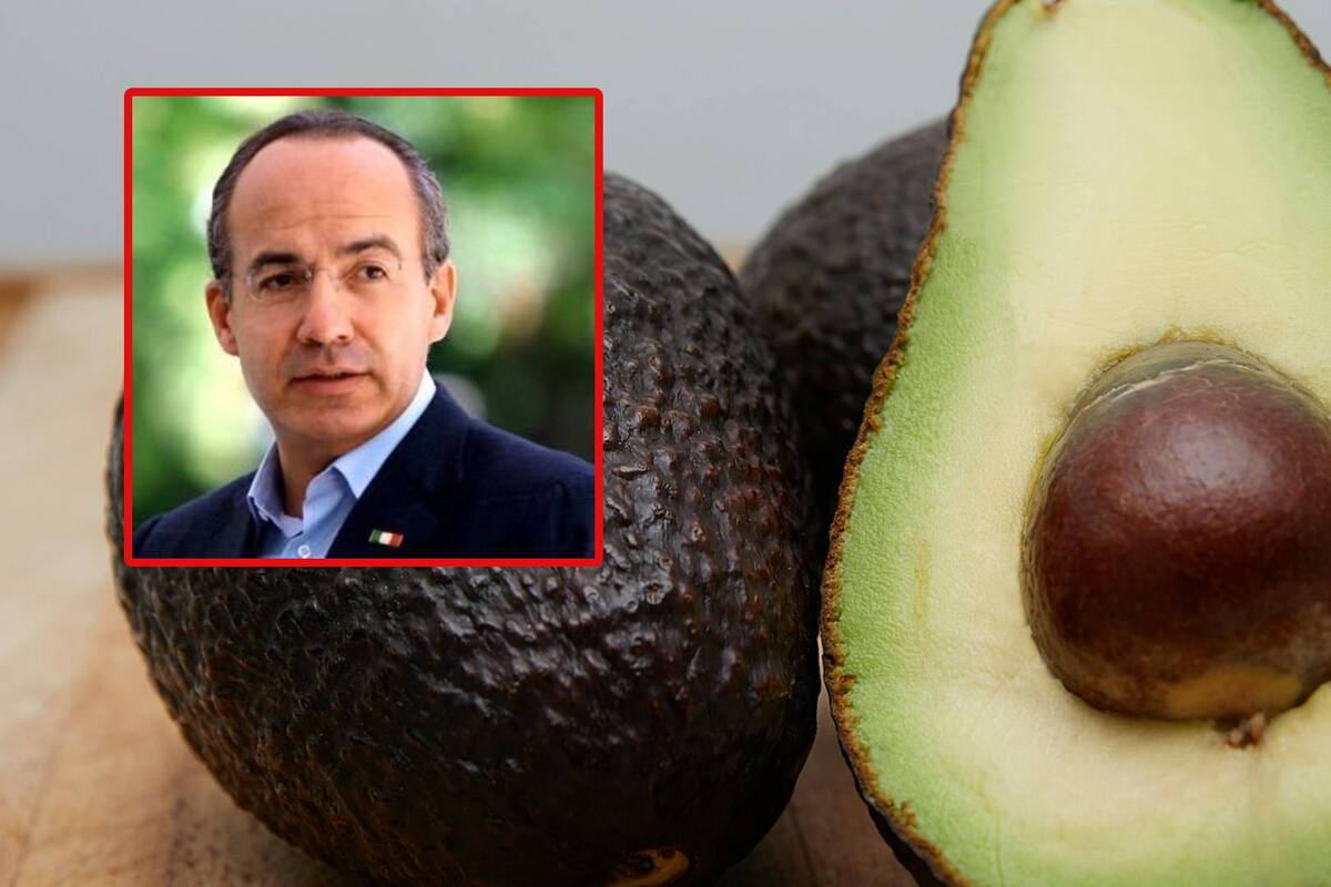 Calderón le aclara a diputada de Morena por qué es “absurdo” colocarle aranceles al aguacate