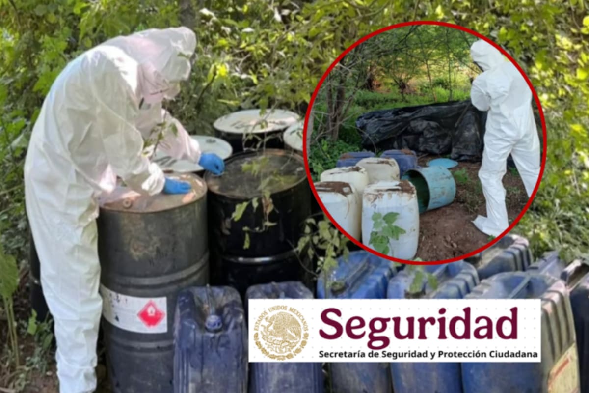 Cinco depósitos de químicos peligrosos asegurados y destruidos en Sinaloa por operativo interinstitucional