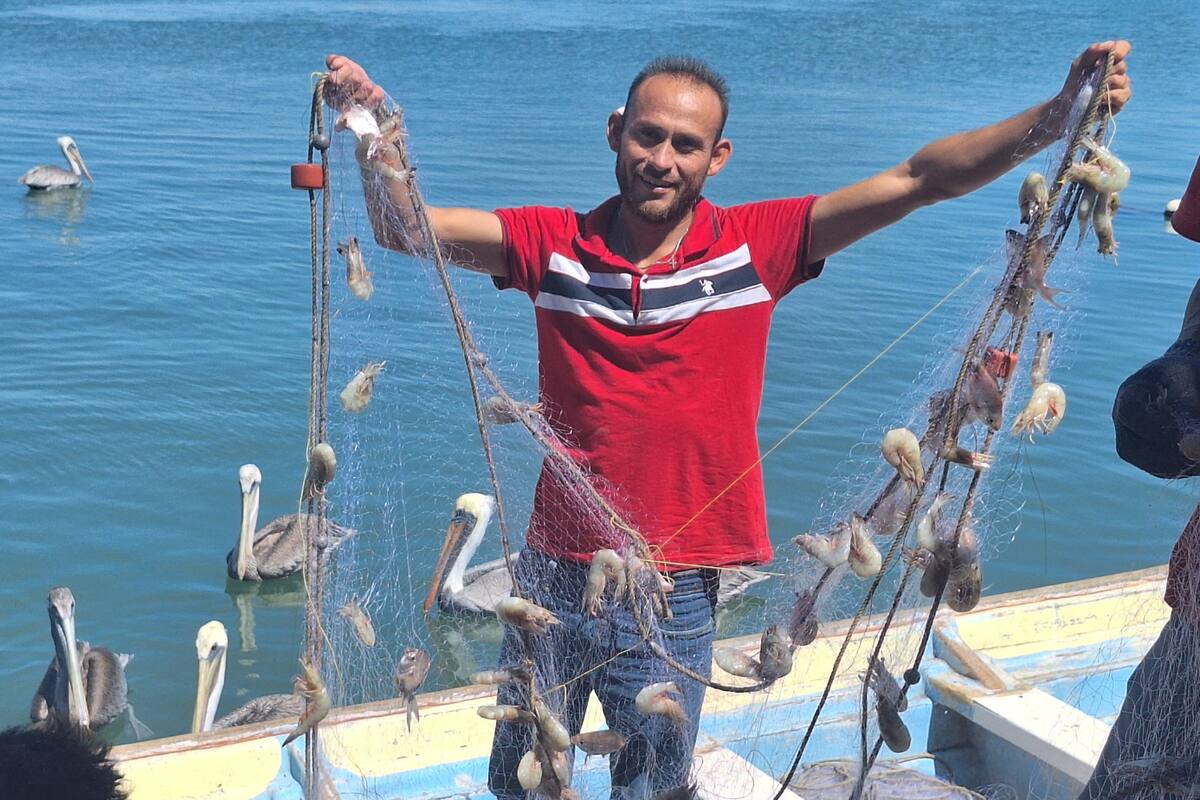 Captura de camarón no deja ni para la gasolina: Pescadores