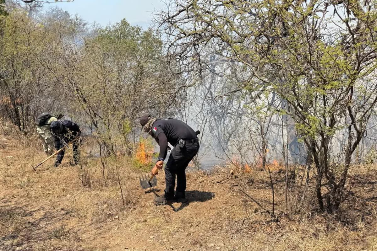 Gobierno de Sahuaripa envía agua, sueros y víveres a brigadistas que combaten incendios forestales en la región