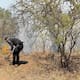 Gobierno de Sahuaripa envía agua, sueros y víveres a brigadistas que combaten incendios forestales en la región