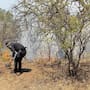 Abren centro de acopio en Hermosillo para apoyar a brigadistas que combaten incendio en la Sierra de Arivechi