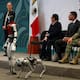 ¿Quiénes son CECI y Cachorro K7? Todo sobre los nuevos robots del C5 que vigilarán el Estado de México