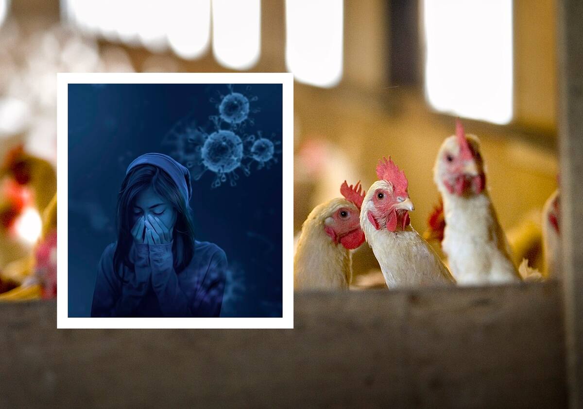 Tony Moody, especialista en enfermedades infecciosas de la Universidad de Duke, señaló que, a pesar que no hay mutaciones significativas, cada caso humano es una oportunidad para que el virus evolucione.