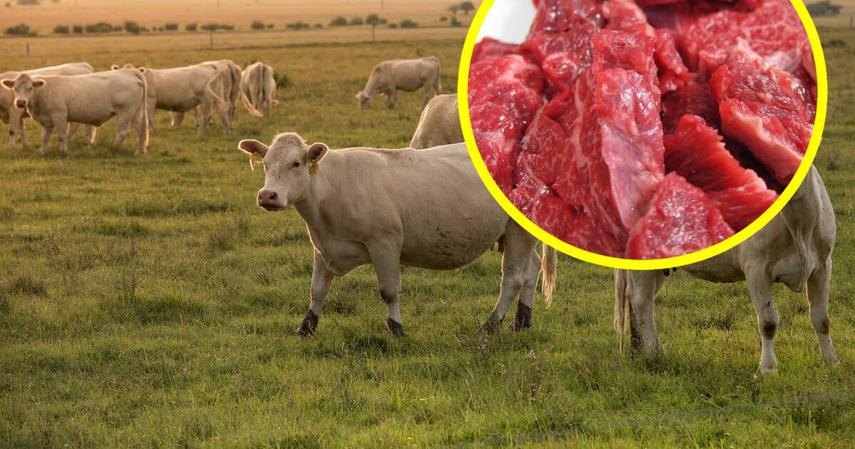Reportan precios récord de la carne de res en EEUU y señalan que seguirán aumentando