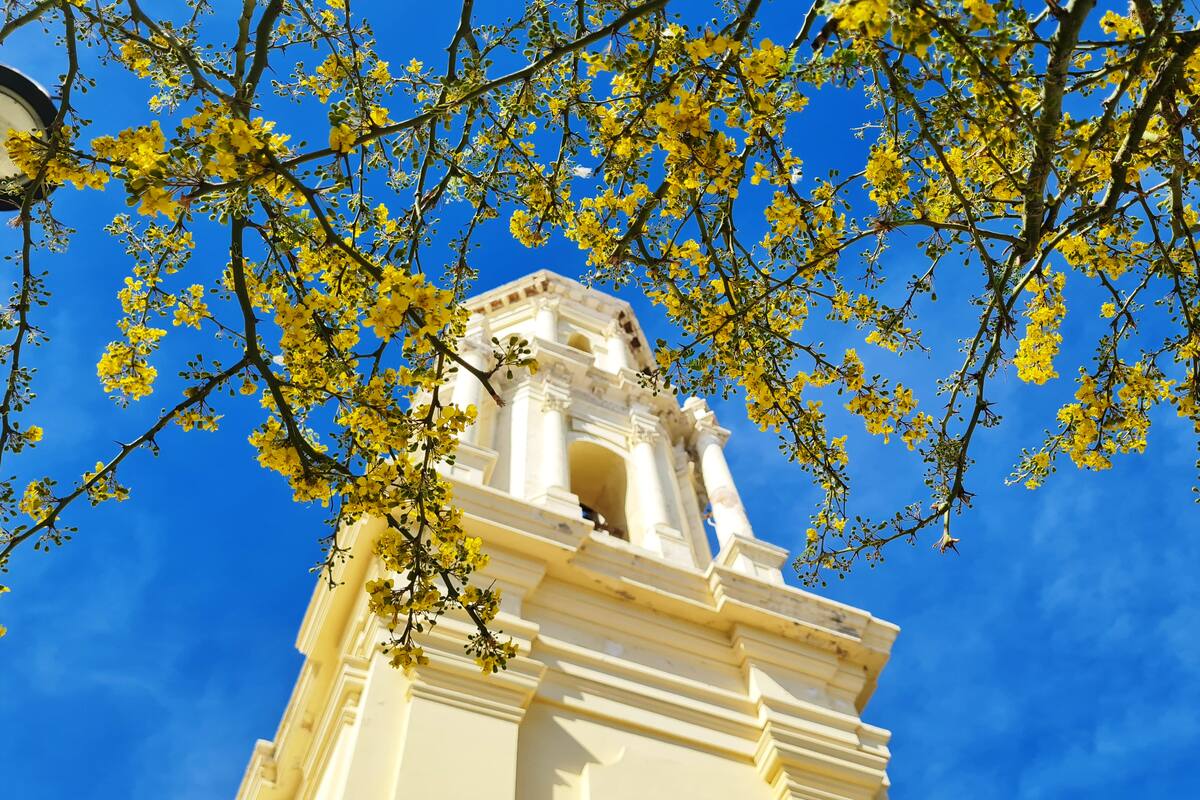Preparan en Hermosillo actividades de Semana Santa
