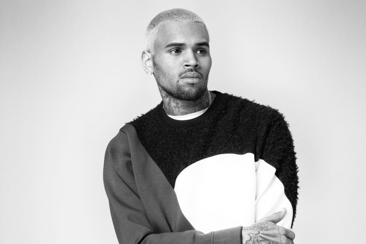 Chris Brown deberá indemnizar con 13 mdd a empleada doméstica que fue atacada por uno de sus perros