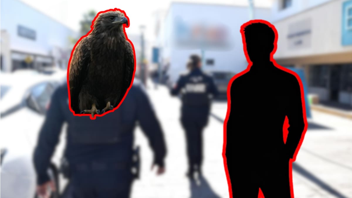 100 años de prisión para “El Águila”, líder del CJNG que simulaba ser policía y torturaba a sus víctimas