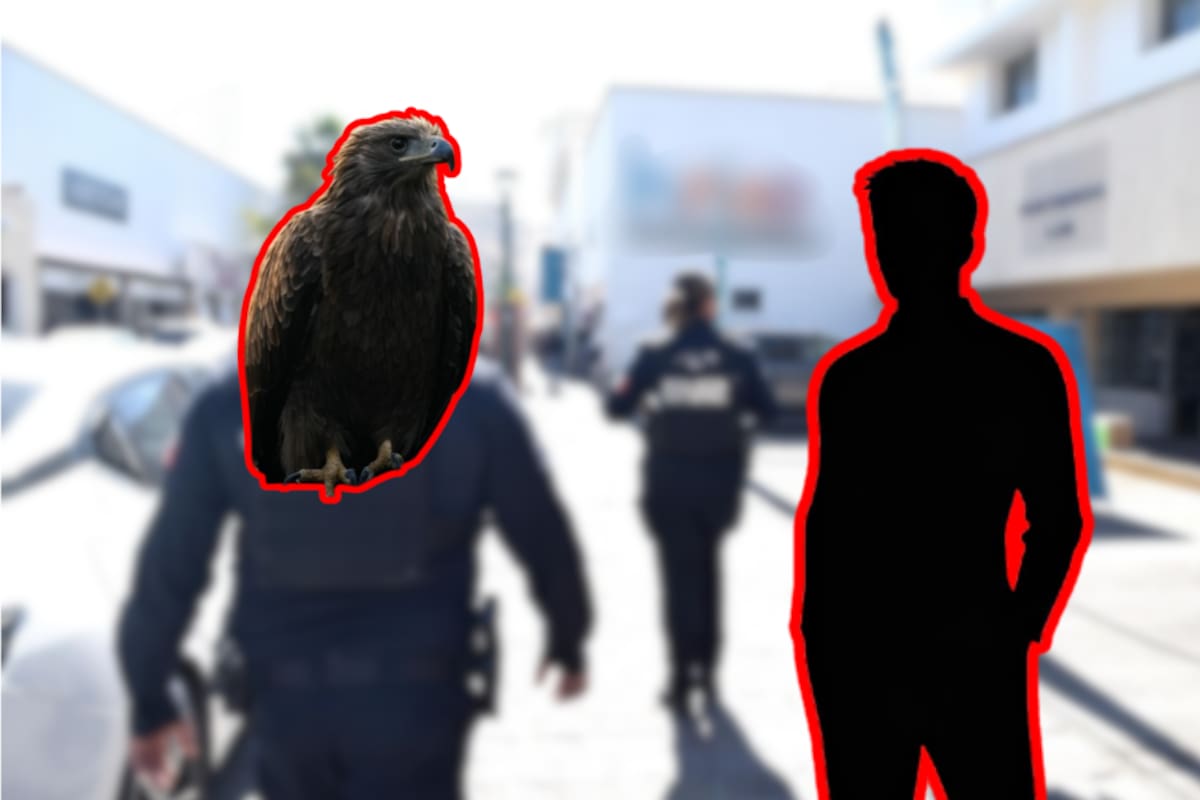 100 años de prisión para “El Águila”, líder del CJNG que simulaba ser policía y torturaba a sus víctimas